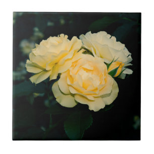 Gold Roses Garden Ceramic Tile