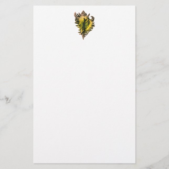 Gold Sea Shell Stationery (Front)