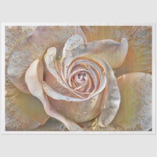 Gold Silk Beautiful Unique Rose Art Dream Tissue Paper