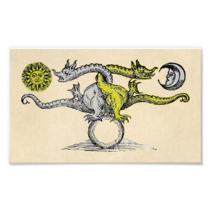 Gold & Silver Dragon Symbol Photo Print