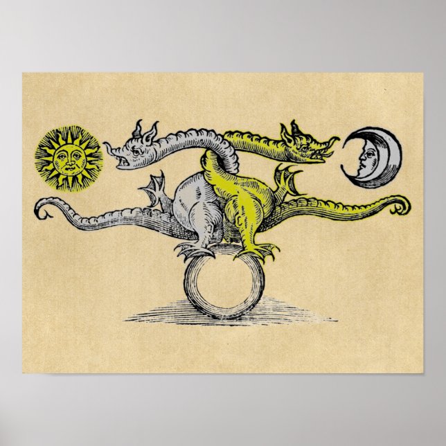 Gold & Silver Dragons Poster (Front)