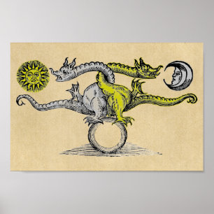 Gold & Silver Dragons Poster