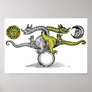 Gold & Silver Dragons Poster