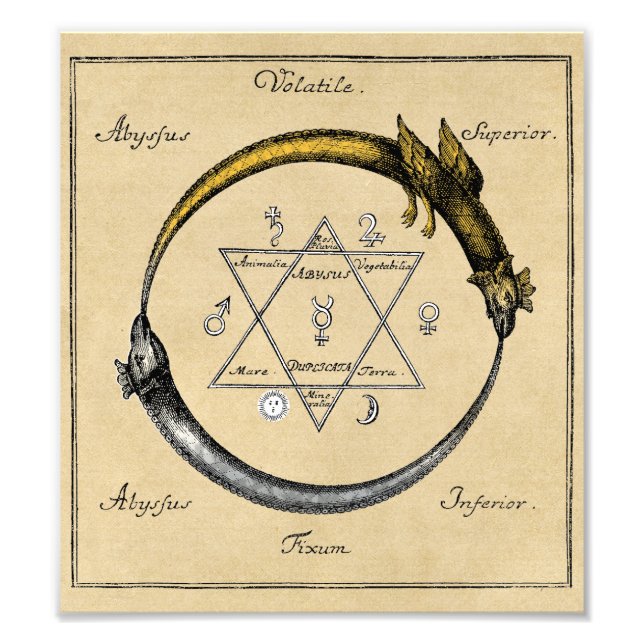 Gold & Silver Ouroboros Symbol Photo Print (Front)