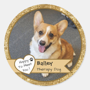 Gold Sparkle Therapy Dog Visit Custom Classic Round Sticker