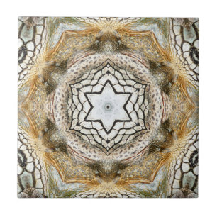 Gold Star Geometric Nature Ceramic Tile