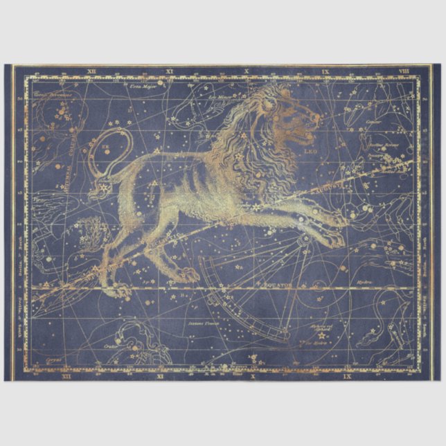 Gold Star Map Series Design 18 Tissue Paper (Front)