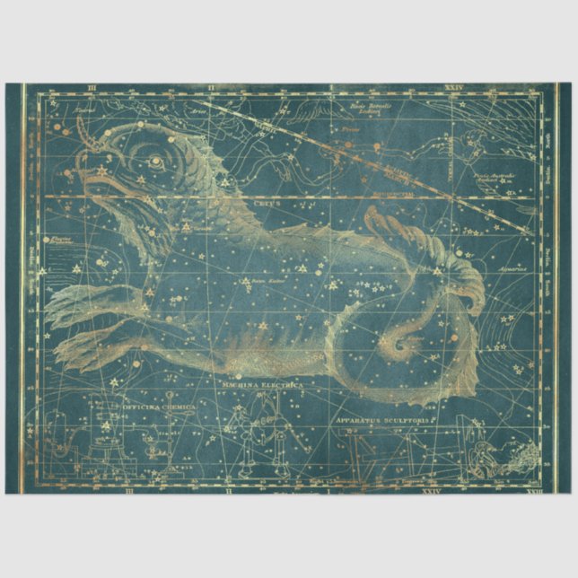 Gold Star Map Series Design 22 Tissue Paper (Front)