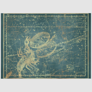 Gold Star Map Series Design 23 Tissue Paper