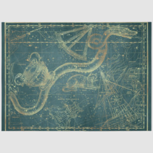 Gold Star Map Series Design 24 Tissue Paper