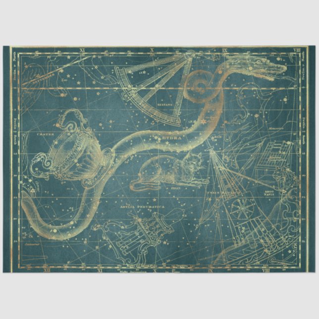 Gold Star Map Series Design 24 Tissue Paper (Front)