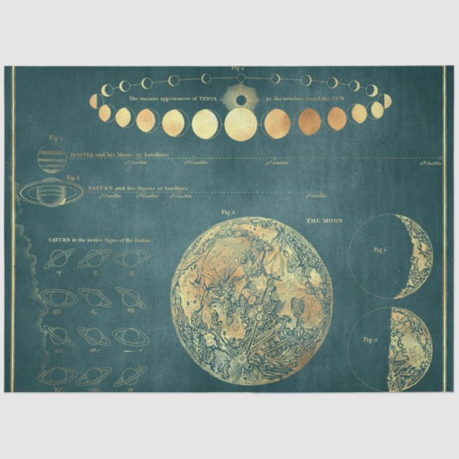 Gold Star Map Series Design 27 Tissue Paper (Front)