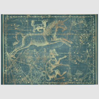 Gold Star Map Series Design 28 Tissue Paper