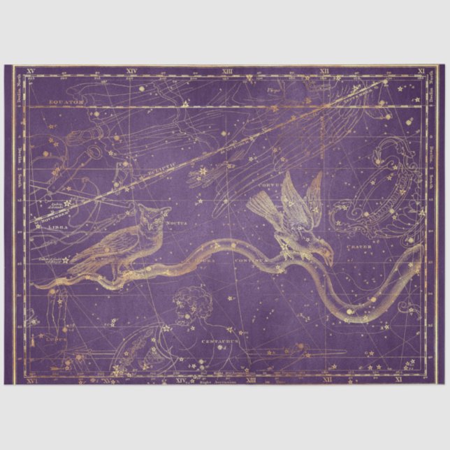 Gold Star Map Series Design 2 Tissue Paper (Front)