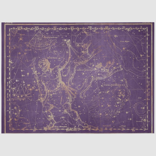Gold Star Map Series Design 8 Tissue Paper (Front)