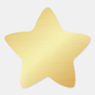 Gold Star Star Sticker