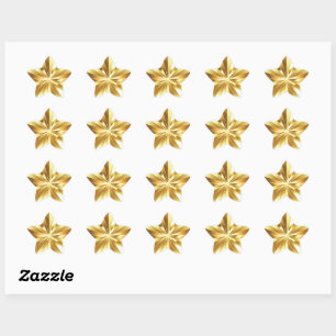 Gold Star Sticker