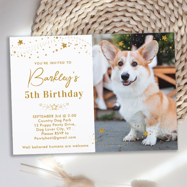 Gold Stars Birthday Personalised Pet Photo Dog Invitation (Creator Uploaded)