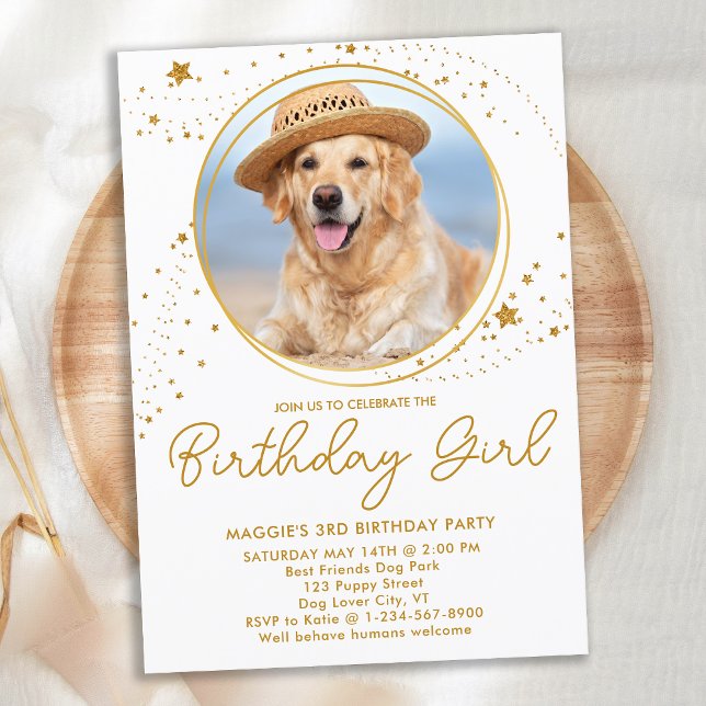 Gold Stars Personalised Pet Photo Dog Birthday Invitation (Creator Uploaded)