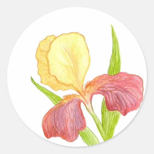 Gold Top Iris Sticker (Front)