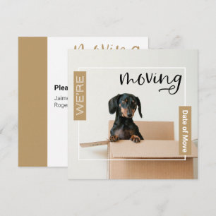 Gold We're Moving Dachshund Dog in Box Card
