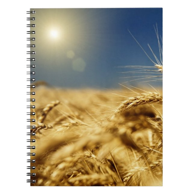 Gold wheat and blue sky with sun notebook (Front)