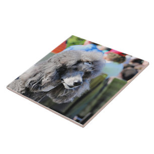 Goldberg - Chanel - Standard Poodle Ceramic Tile