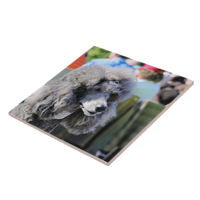 Goldberg - Chanel - Standard Poodle Ceramic Tile (Side)