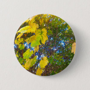 Golden 6 Cm Round Badge