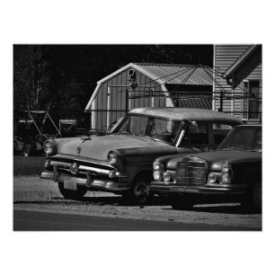 "Golden Agers" Photo Print