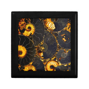 Golden Amber black Nautilus shell pattern, fossil  Gift Box