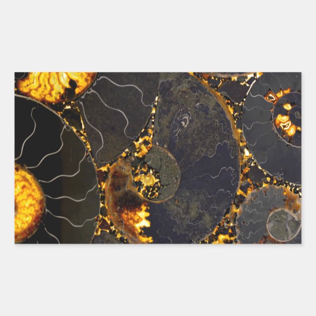 Golden Amber black Nautilus shell pattern, fossil  Rectangular Sticker (Front)