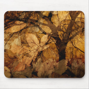 Golden and Brown Leaves   Merritt Island, FL Mouse Pad