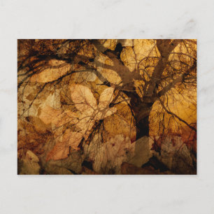 Golden and Brown Leaves Merritt Island, FL Postcard