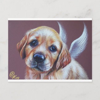 Golden angel postcard