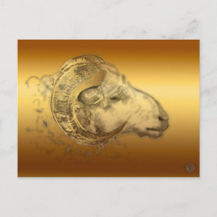 Golden Aries Ram Western Chinese Astrology Postcard