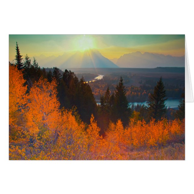 Golden Aspens Above Snake River At Sunset (Front Horizontal)