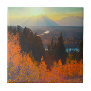 Golden Aspens Above Snake River At Sunset Ceramic Tile