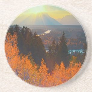Golden Aspens Above Snake River At Sunset Coaster