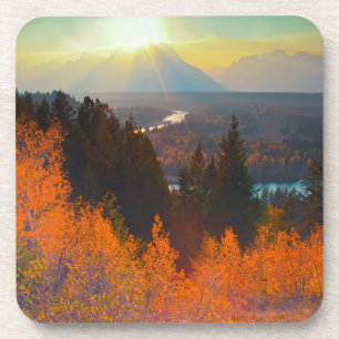 Golden Aspens Above Snake River At Sunset Coaster