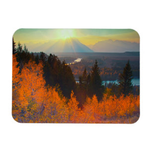 Golden Aspens Above Snake River At Sunset Magnet