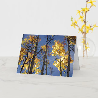 Golden Aspens Foil Greeting Card