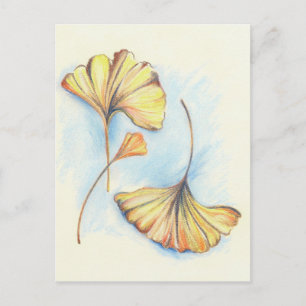 Golden Autumn Ginkgo Leaves Postcard