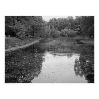 Golden Autumn Lake - Black & White Nordic Edition Poster