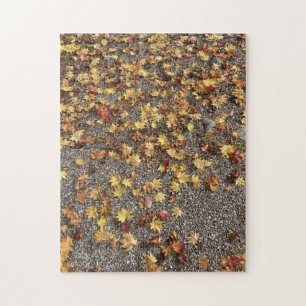 Golden Autumn Leaves in Japan 300-Piece Puzzle