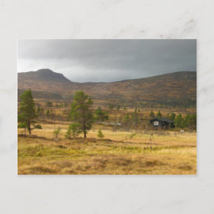 Golden Autumn on a Norwegian mountain plateau Postcard