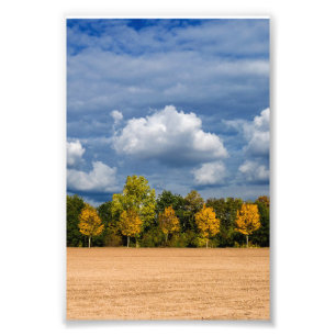 golden autumn photo print