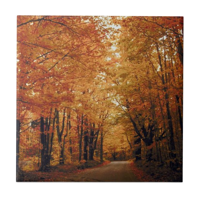 Golden Autumn Road Ceramic Tile (Front)