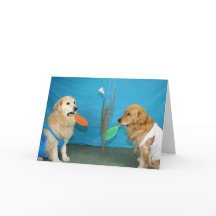 Golden Badminton Birthday