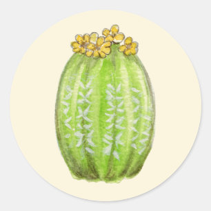 Golden Barrel cactus sticker